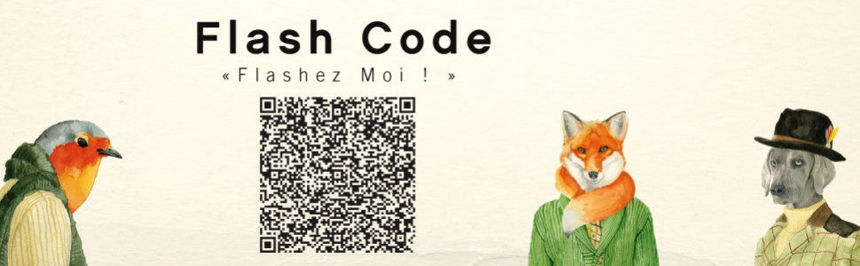 Le Flash Code